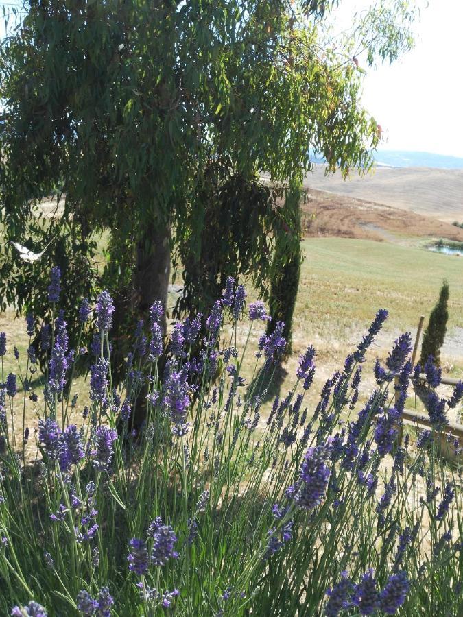 Bio Agriturismo Pratini Monte Lopio Dış mekan fotoğraf