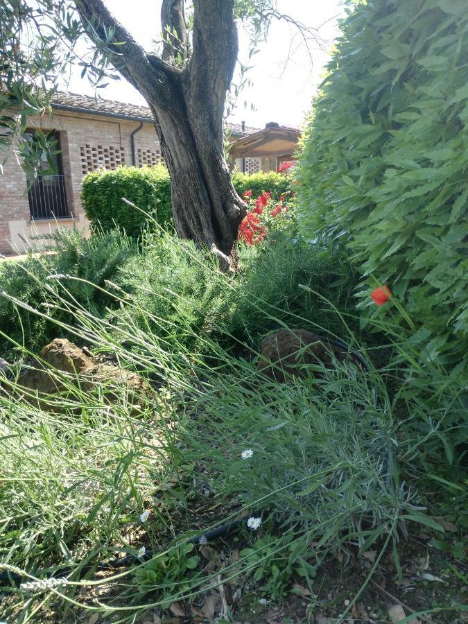 Bio Agriturismo Pratini Monte Lopio Dış mekan fotoğraf